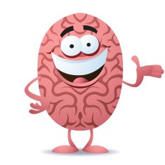 Happy Brain N2