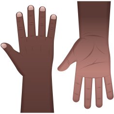Hands N58