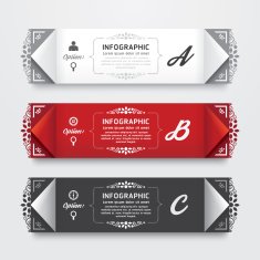 Infographic Design modern Vintage Labels template N2