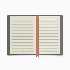 notebook N53