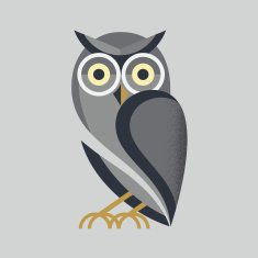 Owl Vector N9