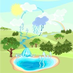 Water cycle in nature N4