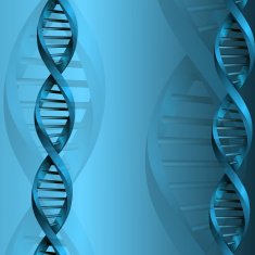 DNA molecule structure background eps10 vector illustration N2