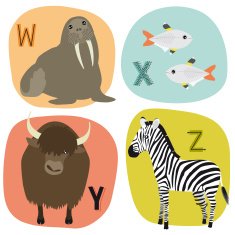 Animal alphabet W-Z N2