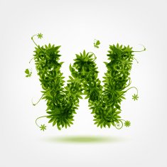 Green eco letter W for your design