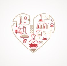 Chemistry of Love N2