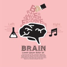 Brain Infographic