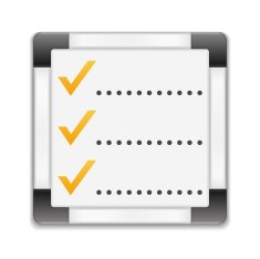 Check List Icon N6