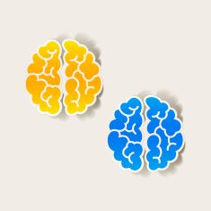 realistic design element brain N55