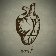 Doodle Human heart N2