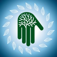 Eco friendly tree in hands