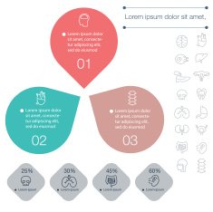 Infographic N55