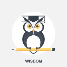 Wisdom N2