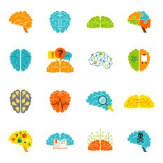 Brain icons flat N2
