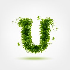 Green eco letter U for your design