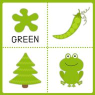 Learning green color Frog pea and fir tree Educational N2