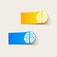 realistic design element brain N65