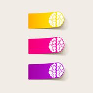 realistic design element brain N66