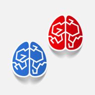 realistic design element brain N67