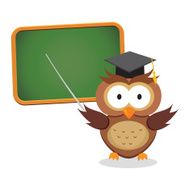 Smart owl on presentation
