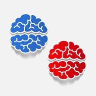 realistic design element brain N69