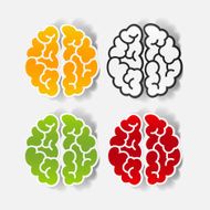realistic design element brain N70