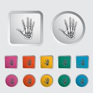 Anatomy hand N3