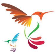 Vector image of an hummingbird