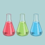 Erlenmeyer Flasks 1000 ml