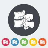 Anatomy spine icon N4