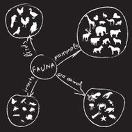 Animals Infographic