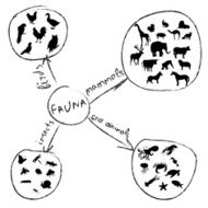 Animals Infographic N2