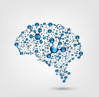 Human Brain N39
