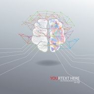 Brain Infographic N2