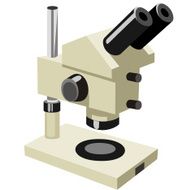Microscope N36