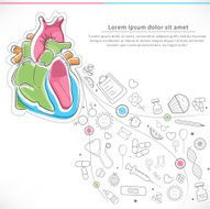 Human heart for Health and Medical concept N2