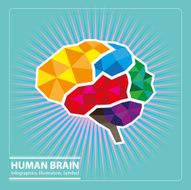 Brain N38
