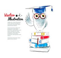 Owl sitting on books N6