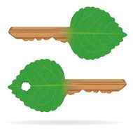 Wooden Eco Key