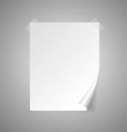 Vector sheet of paper isolated on gray