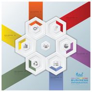 Modern Hexagon Business Infographic N5