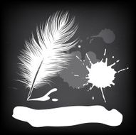 feather N13