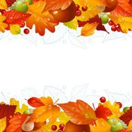 Vector autumn frame with fall leaf