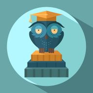 Owls in graduation cap N2