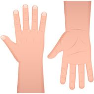 Hands N59