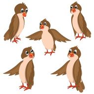 Brown Birds Vector Illustrations Set