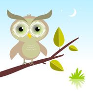owl N62