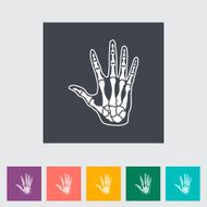 Anatomy hand N4