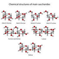 Chemical formulas of main sugars mono- and disaccharides