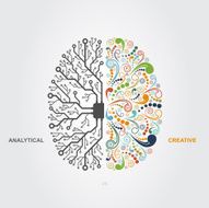 Brain Concept N5